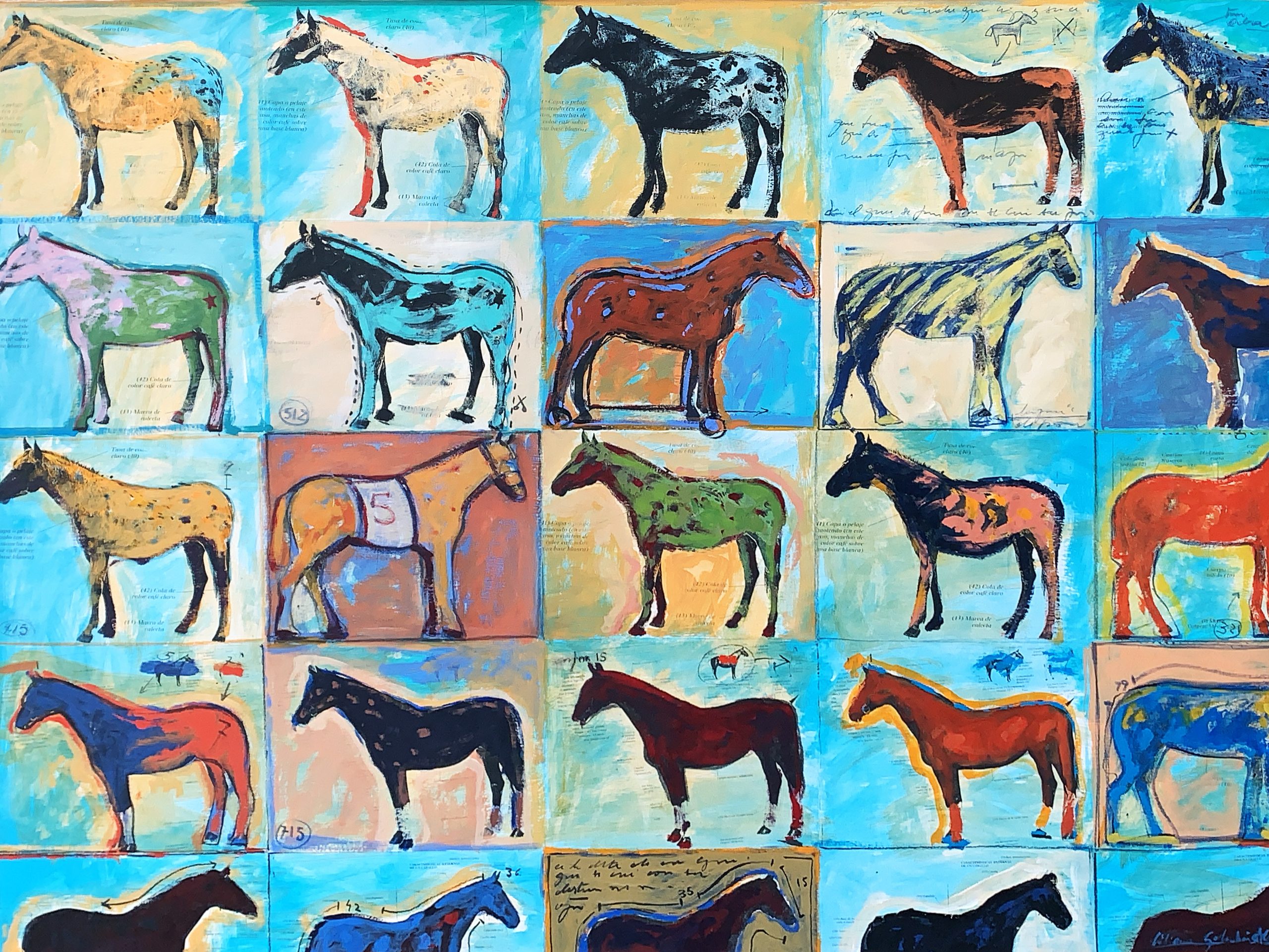Carta De Colores